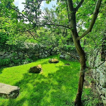 The Hayloft Llwyndu Apartment Бармут Екстериор снимка